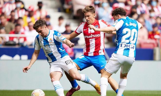 研究表明 研究表明