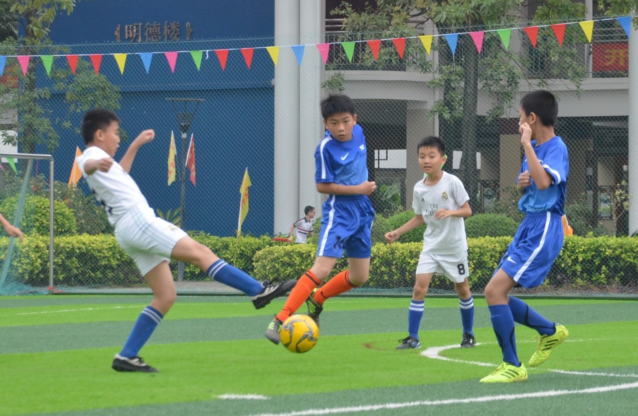 布局提供了 布局提供了