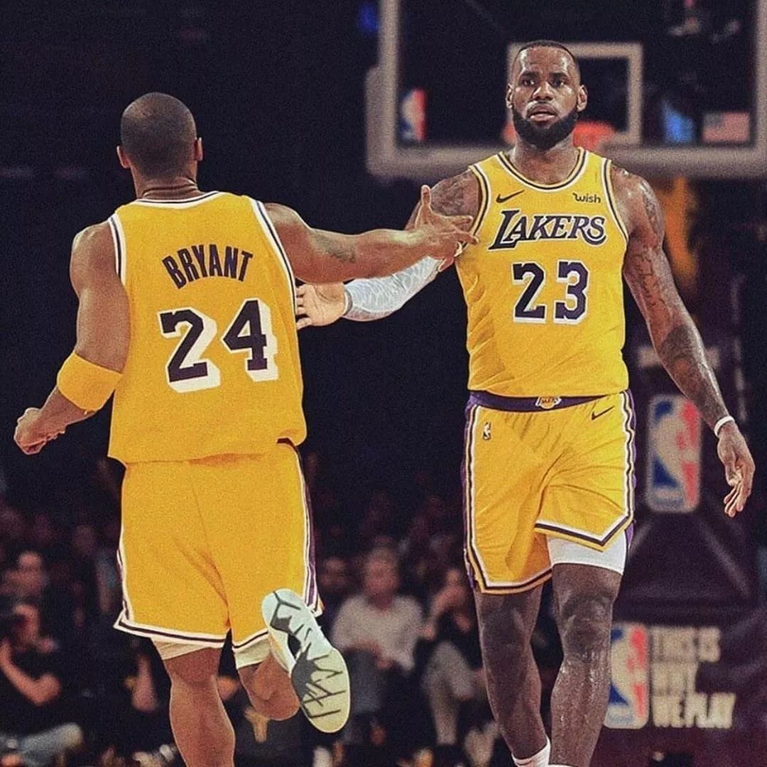 逐步构建自 逐步构建自